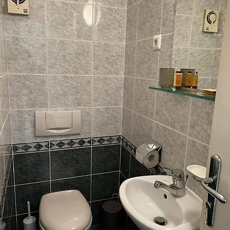 לינה וארוחת בוקר Swallow Trzin