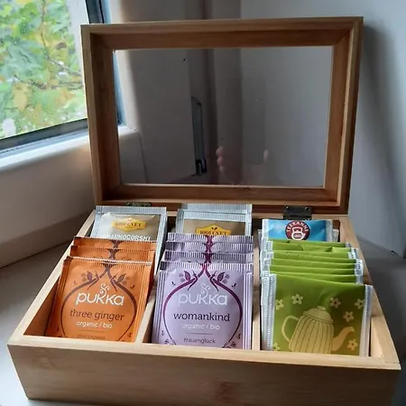 Swallow לינה וארוחת בוקר