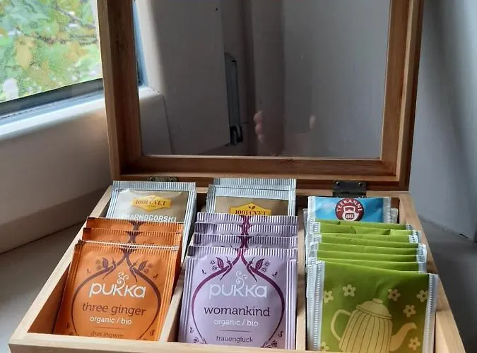 Swallow 住宿加早餐酒店