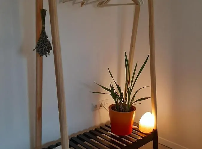 Swallow 住宿加早餐酒店 3*